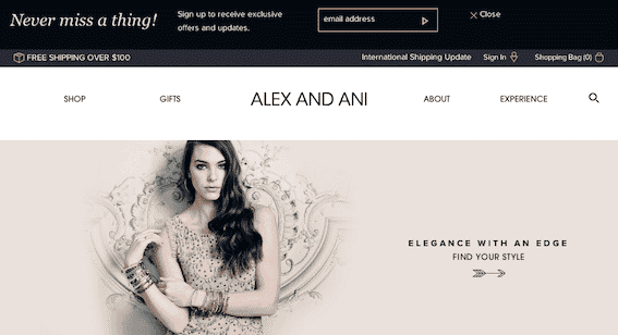 Alex and Ani: Digital Marketing Meets Data Smarts